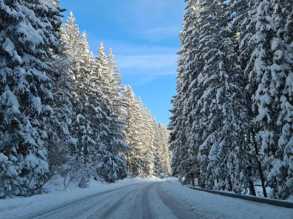Chalet-Beskydy Prostřední Bečva Εξωτερικό φωτογραφία